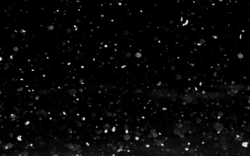 Snowfall at Night Feature